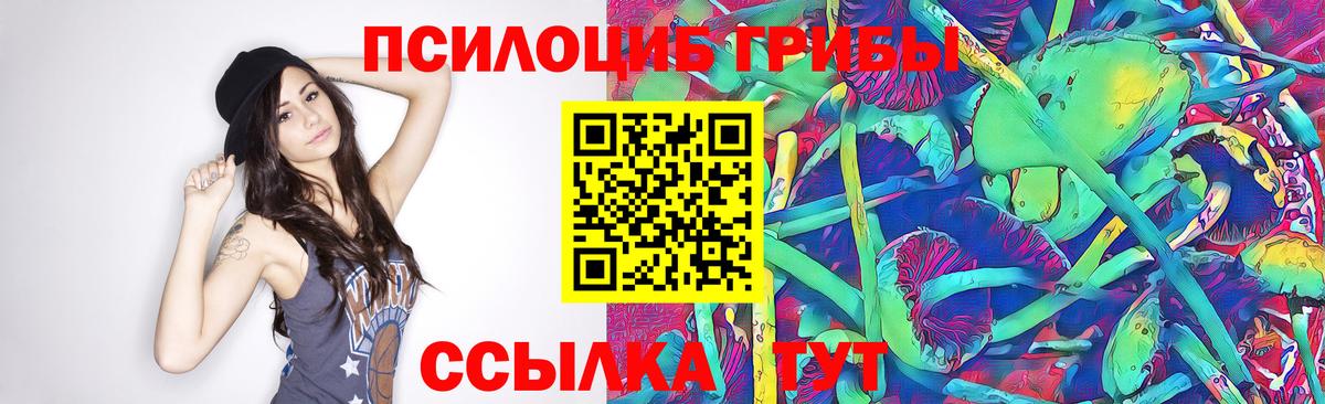Медногорск  Псилоцибиновые грибы GOLDEN TEACHER  Псилоцибиновые грибы прущие грибы  Вход с VPN 