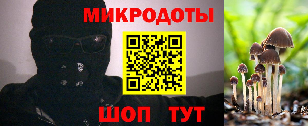 Псилоцибиновые грибы прущие грибы Медногорск